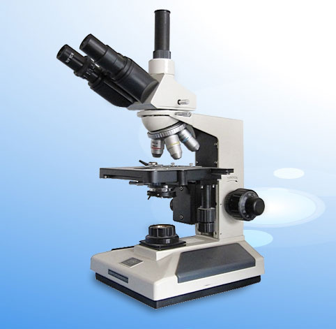 ΢|XSP-8CA