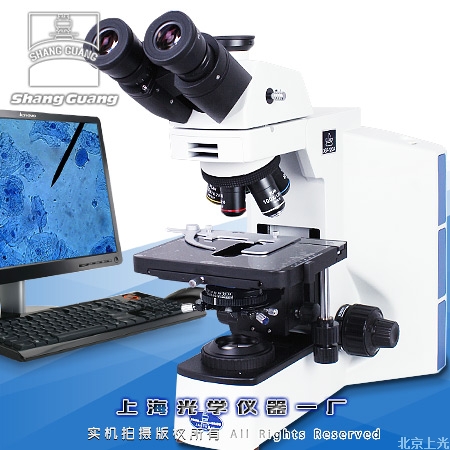 о΢ XSP-12CA(¿)