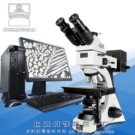 ý΢ 9XB-PC